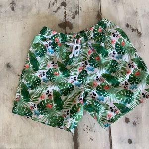 Disney Mickey Mouse Mens swim trunks